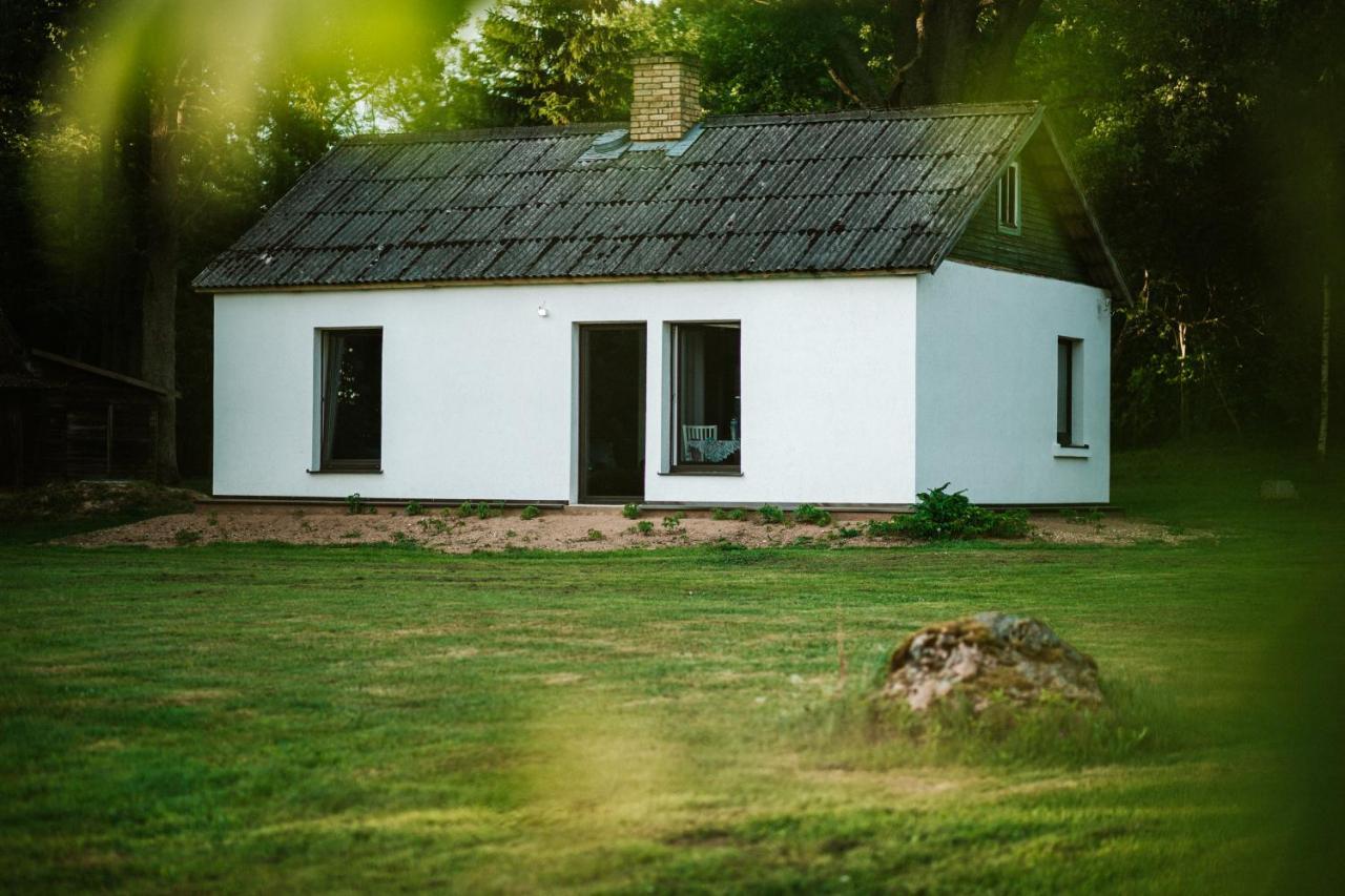 Burtnieka Ezera Maja Villa Valmiera Buitenkant foto